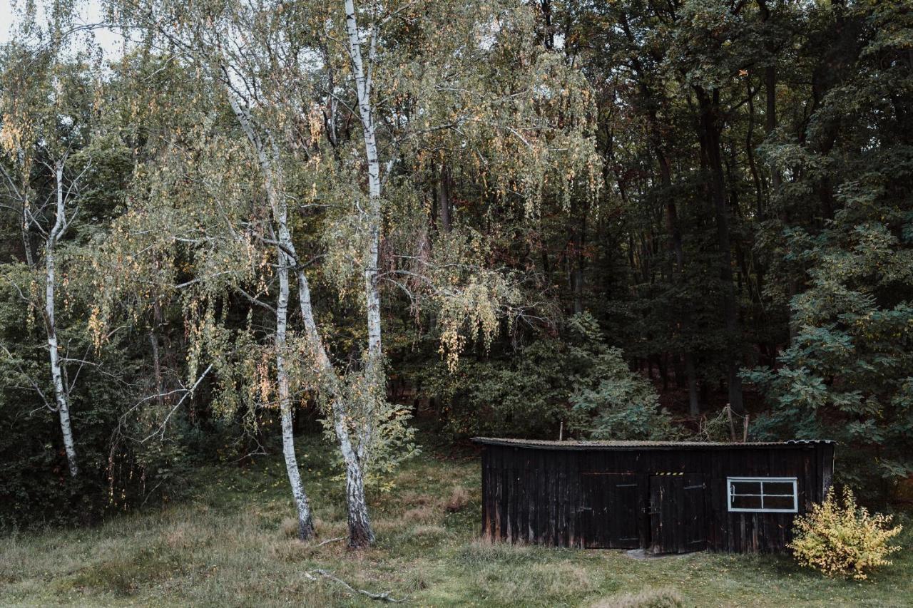 Ferienwohnung Spreewaldhaus am Landgut - Pretschen Markische Heide Exterior foto